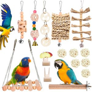 Sunoya Vogelspielzeug-Set