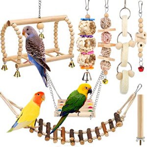 Vogelspielzeug-Set mit 8 Teilen