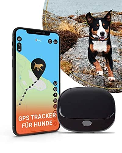 PAJ GPS Tracker für Hunde